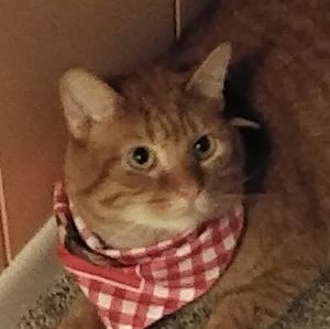 Meet your Posher, Jean